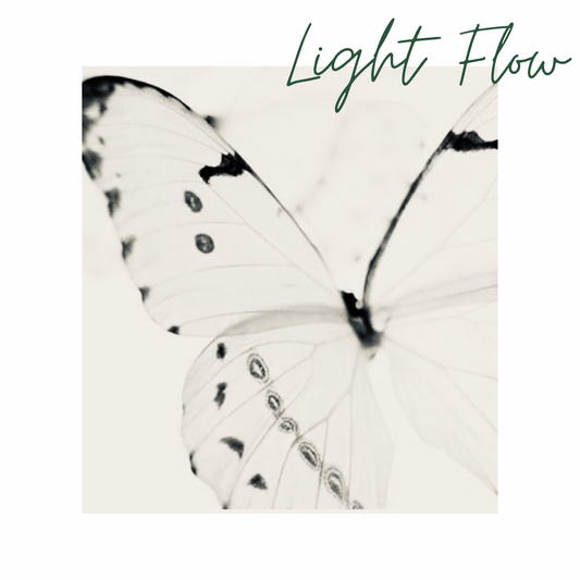 💧 Light Flow